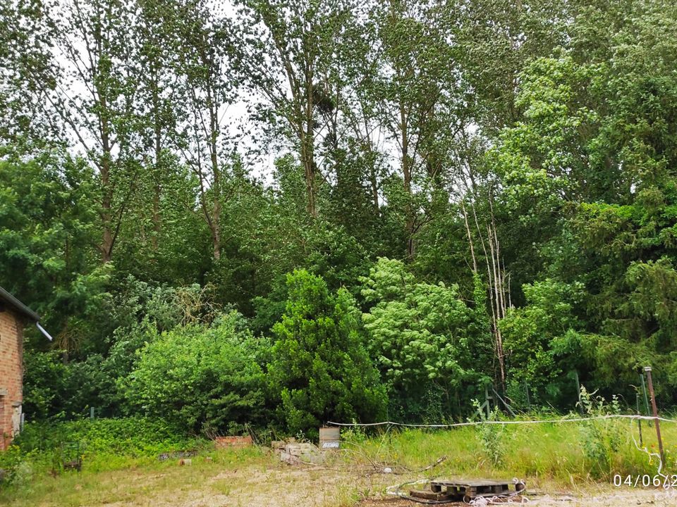 Herregård i Vitry-le-François, Marne - bilde 3
