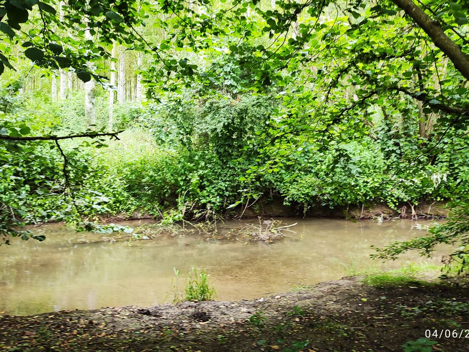 Herregård i Vitry-le-François, Marne - bilde 4
