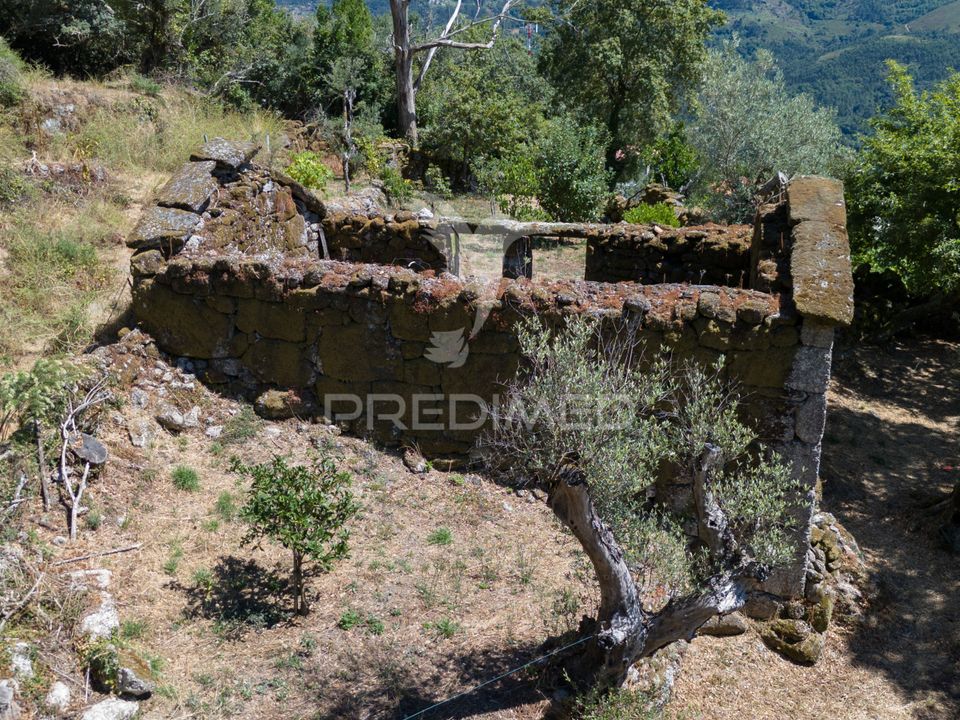 Ruin i Terras de Bouro, Braga - bilde 5