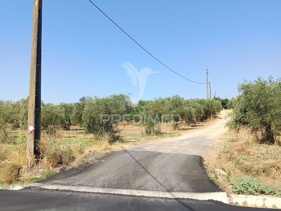Helårsgrund i Campo Maior, Portalegre - foto 1
