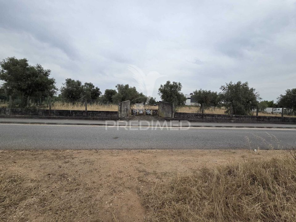 Helårsgrund i Vila Nova da Barquinha, Santarem - foto 1