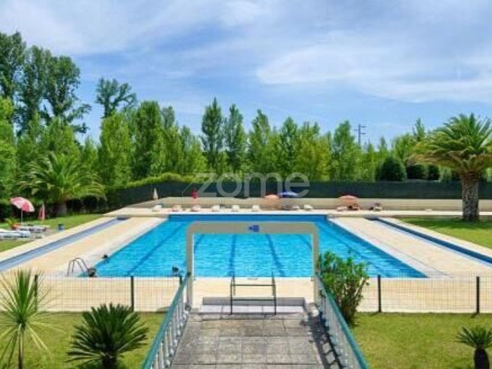 Apartment in Anadia, Aveiro - photo 4