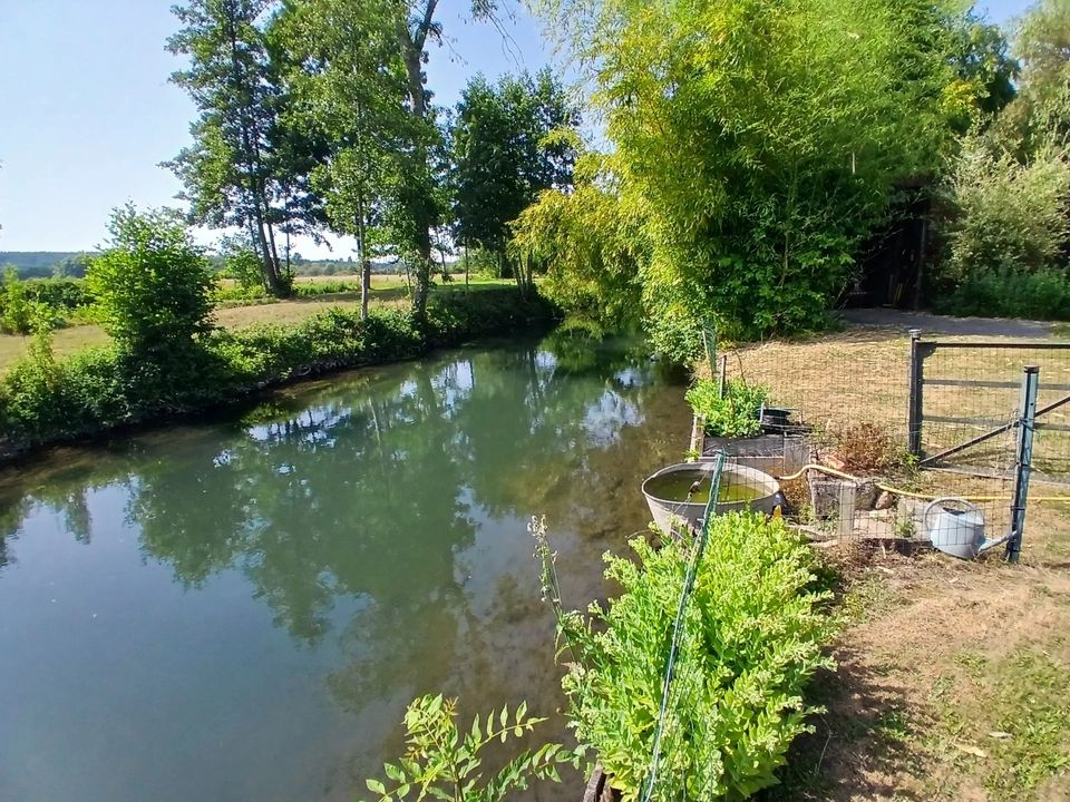 Villa i Beaumontel, Eure - bilde 3