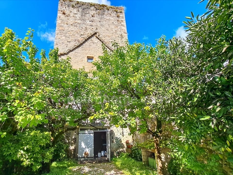 Villa em Sauveterre-de-Bearn, Pyrenees-Atlantiques - foto 4