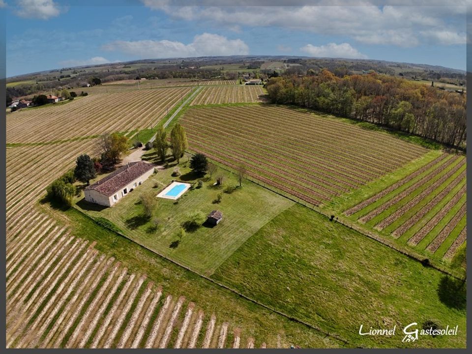 Villa i Les Leves-Et-Thoumeyragues, Gironde - foto 2