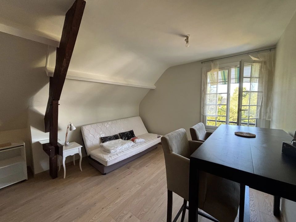 Apartament a Olivet, Loiret - foto 1