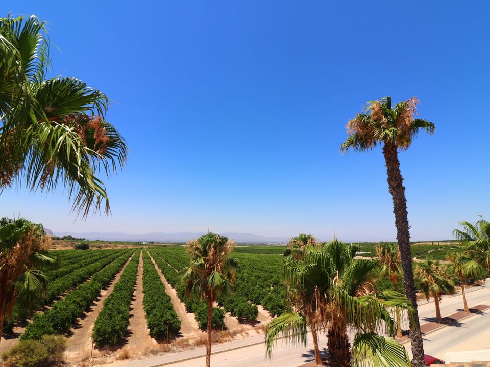 Villa in Algorfa, Alicante - photo 5
