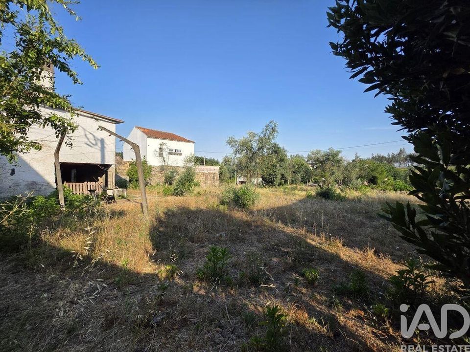 Rekkehus i Santa Comba Dao, Viseu - bilde 3