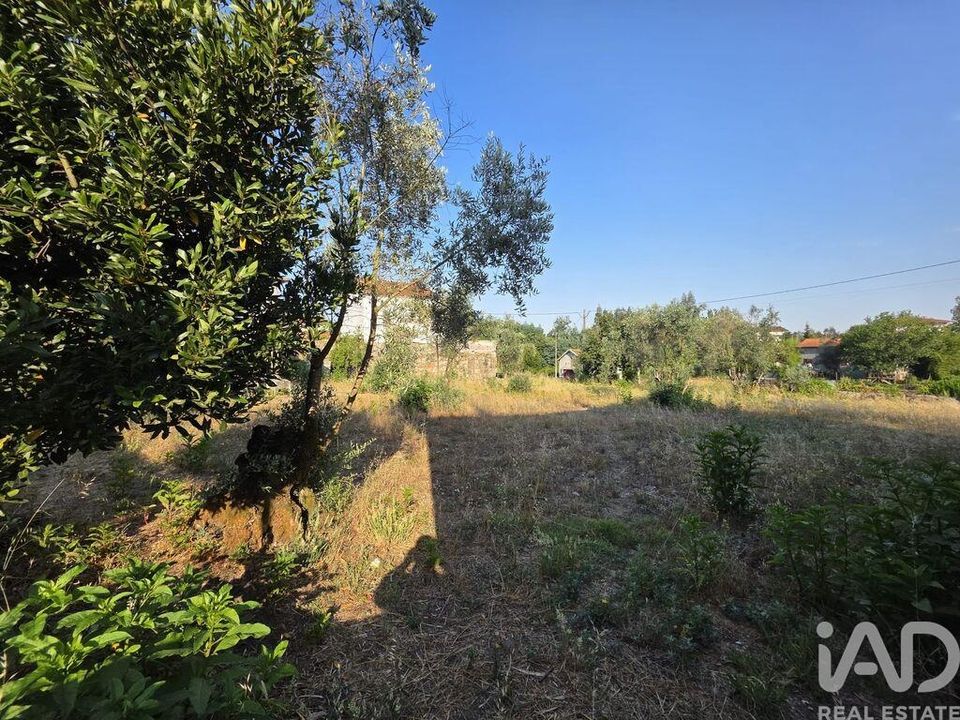 Rekkehus i Santa Comba Dao, Viseu - bilde 5
