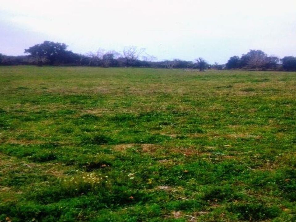 Terra a Portalegre, Portalegre - foto 3
