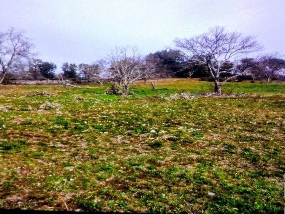 Terra a Portalegre, Portalegre - foto 5
