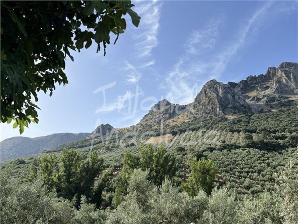 Cortijo i Priego De Cordoba, Cordoba - bilde 3