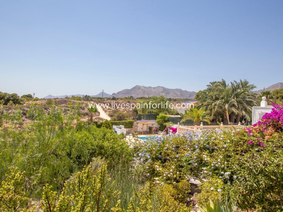 Landejendom i Albatera, Alicante - foto 4