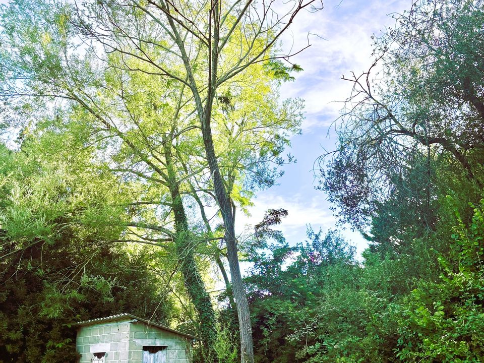 Erhvervsejendom i Bossay-sur-Claise, Indre-et-Loire - foto 5