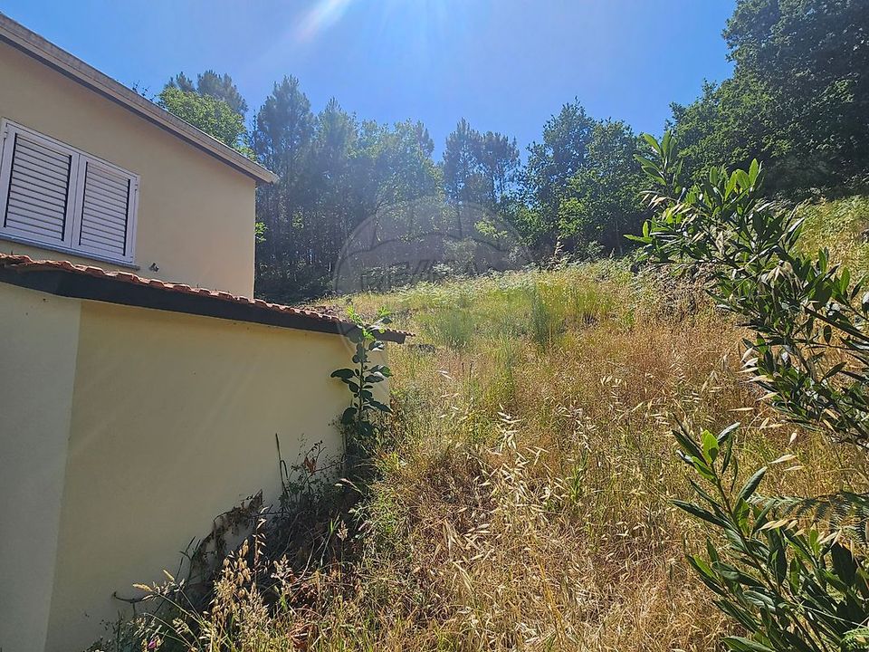 Villa i Castro Daire, Viseu - foto 5