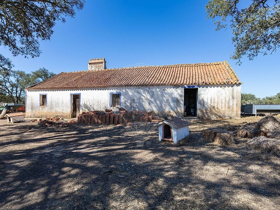 Farm hus i Santiago do Cacem, Setubal - foto 4