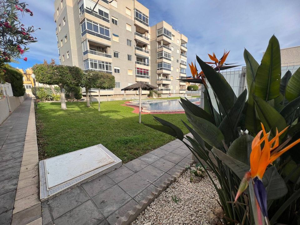 Lejlighed i Torrevieja, Alicante - foto 4