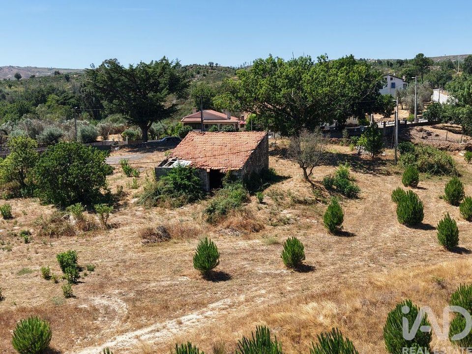 Grond in Mangualde, Viseu - foto 2