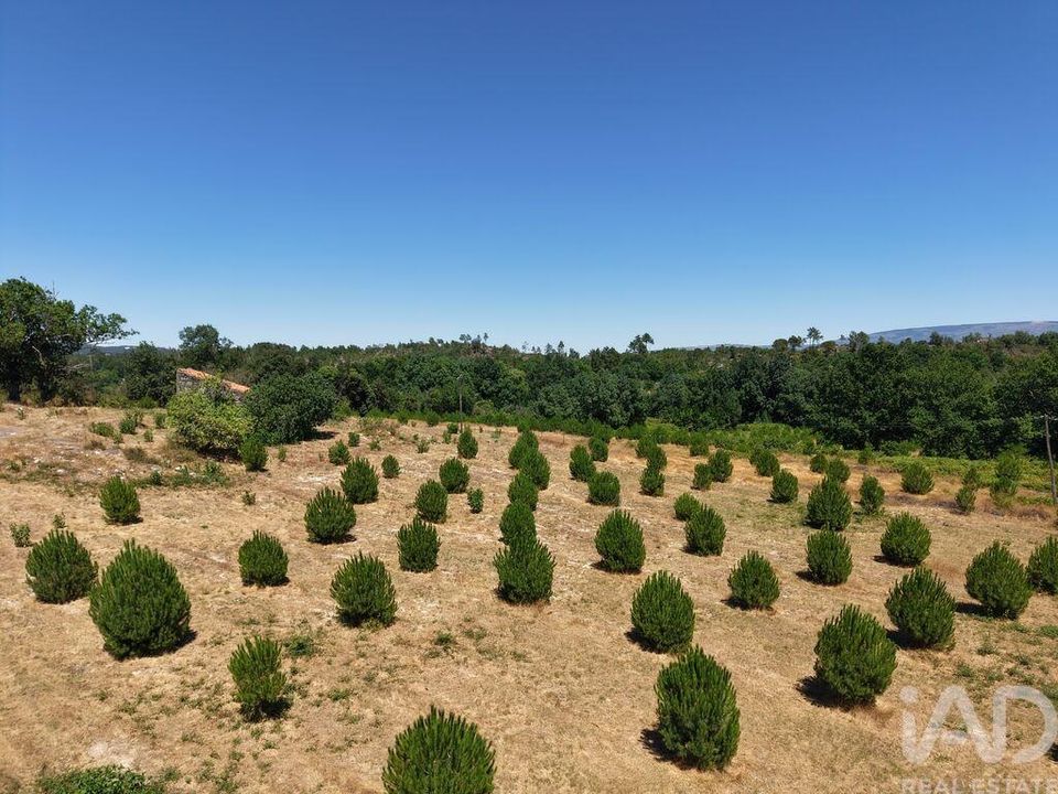 Grond in Mangualde, Viseu - foto 5