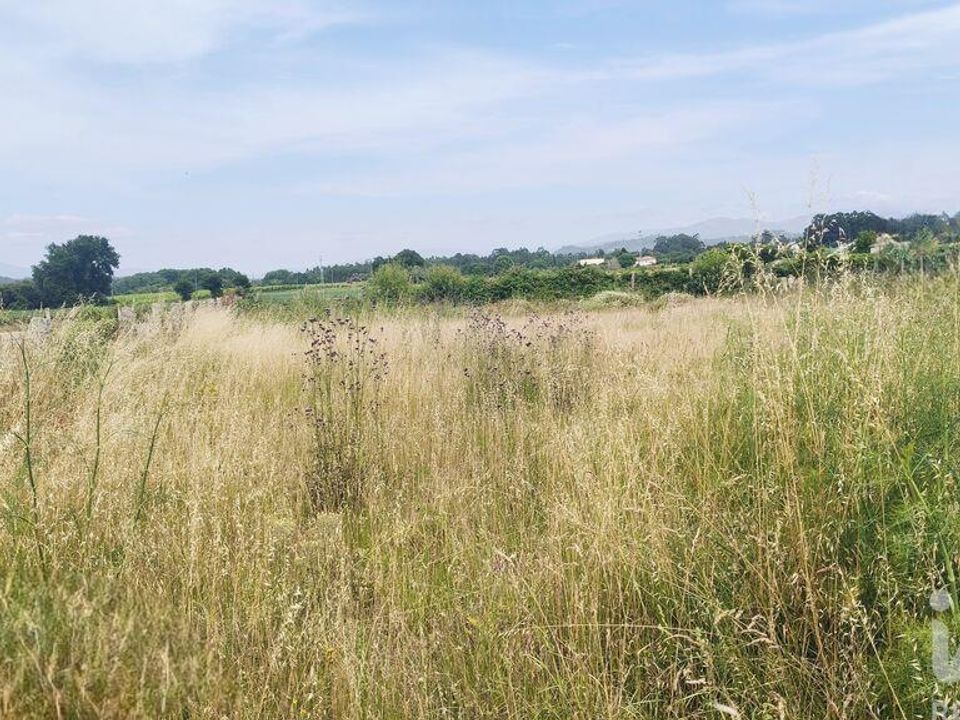 Terreno en Valenca, Viana do Castelo - foto 5