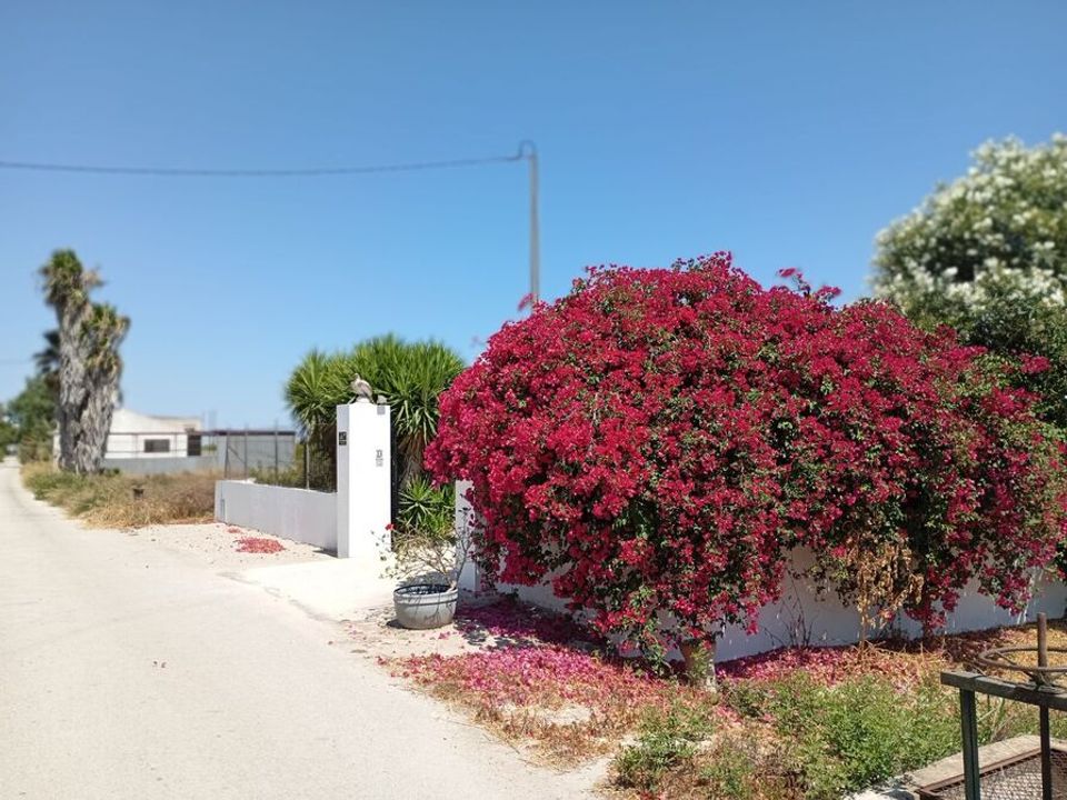 Finca i Daya Nueva, Alicante - foto 5