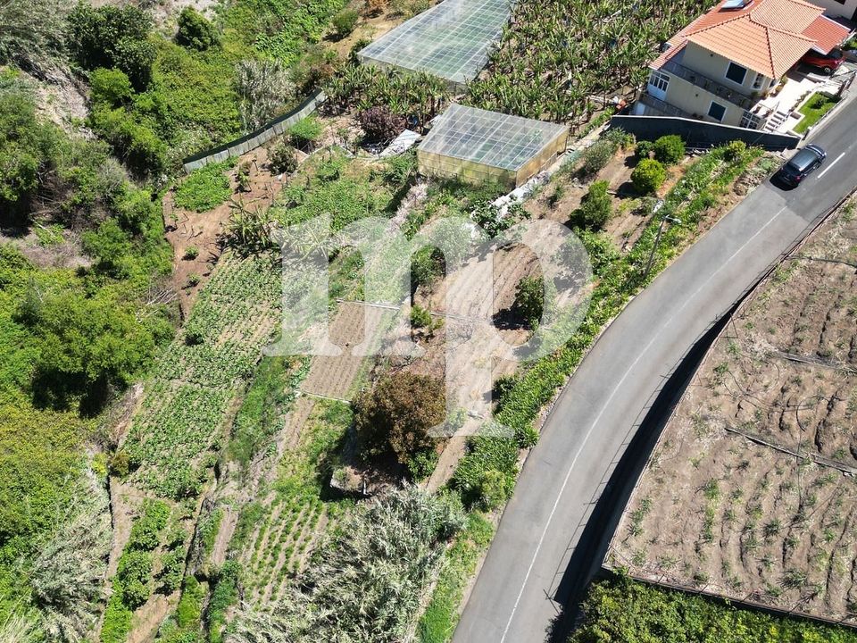 Tomt i Ponta do Sol, Madeira - foto 5