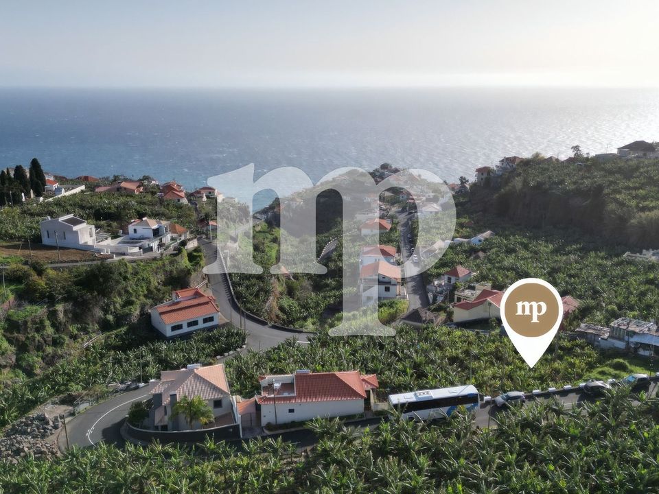 Tomt i Ponta do Sol, Madeira - foto 3