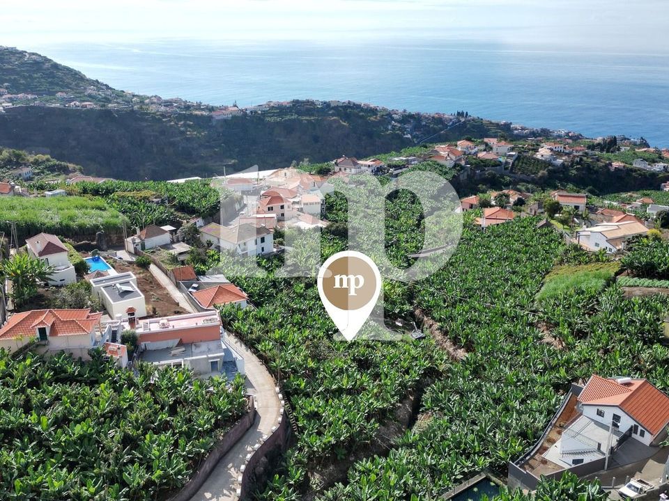 Tomt i Ponta do Sol, Madeira - foto 4