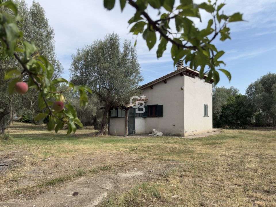 Villa in Vetralla, Viterbo - foto 4