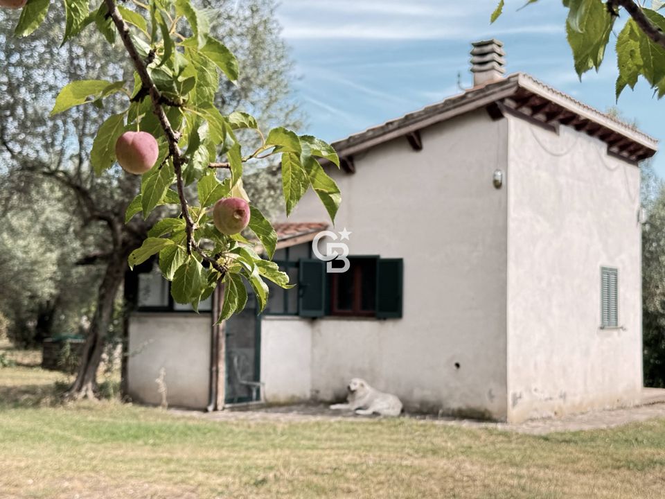 Villa in Vetralla, Viterbo - foto 5