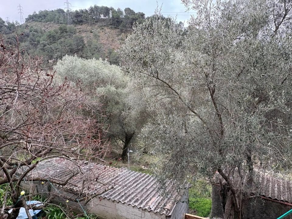 Villa i Tourrette-Levens, Alpes-Maritimes - bilde 4