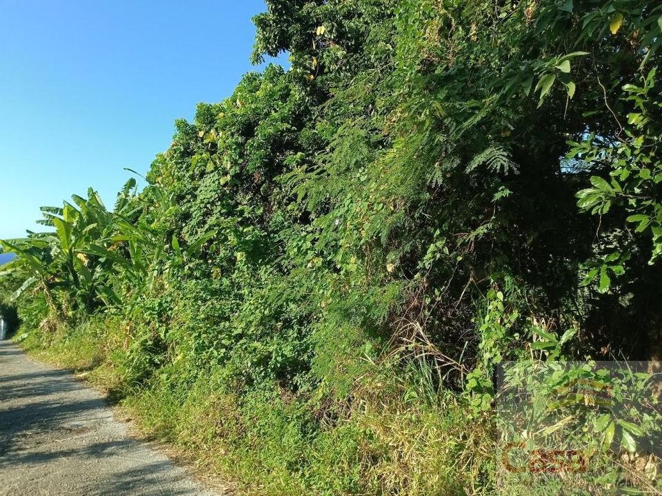 Terra a Sainte-Rose, La Reunion - foto 1