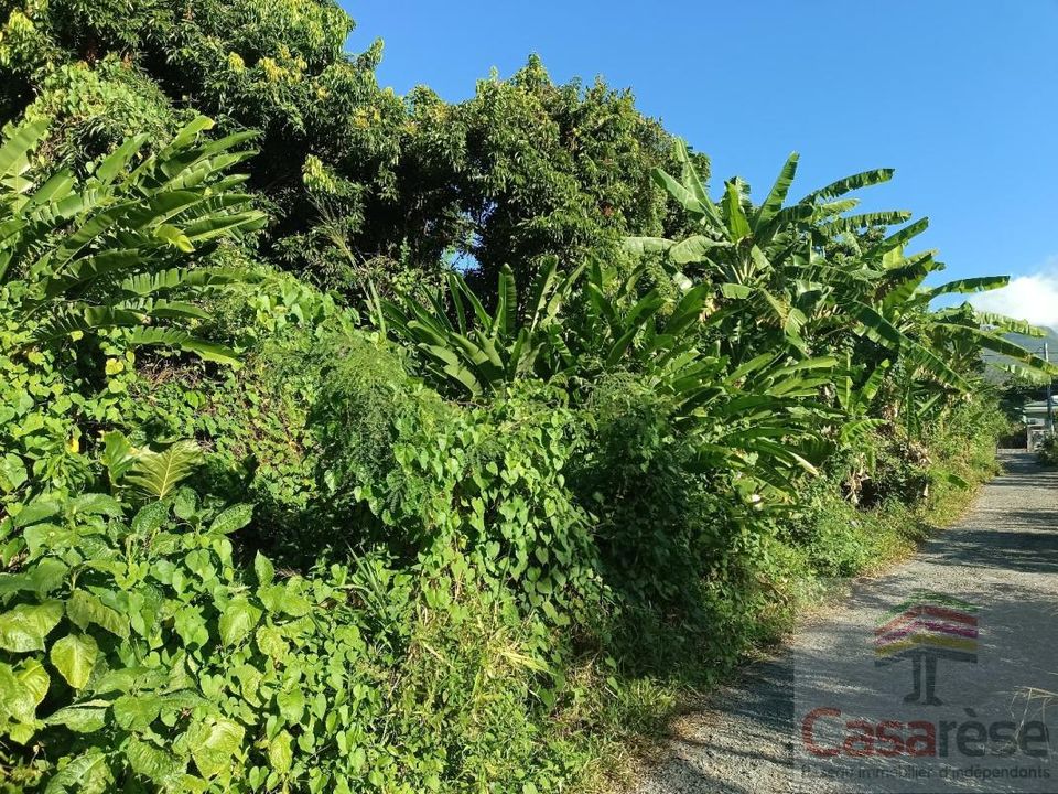 Terra a Sainte-Rose, La Reunion - foto 2