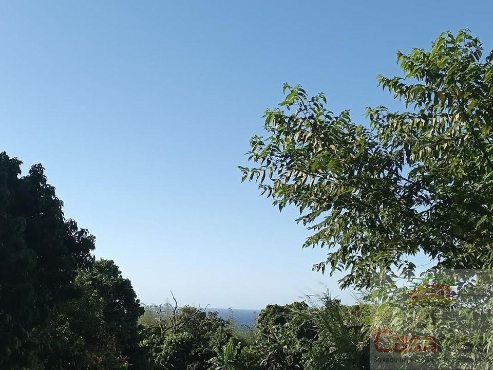 Terra a Sainte-Rose, La Reunion - foto 3