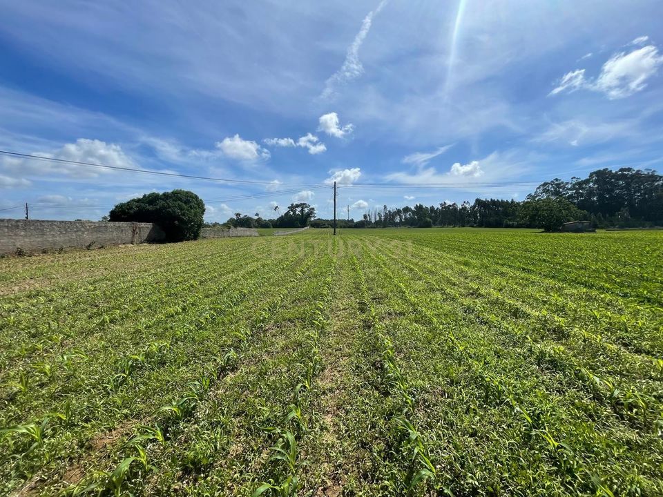 Helårsgrund i Ilhavo, Aveiro - foto 3