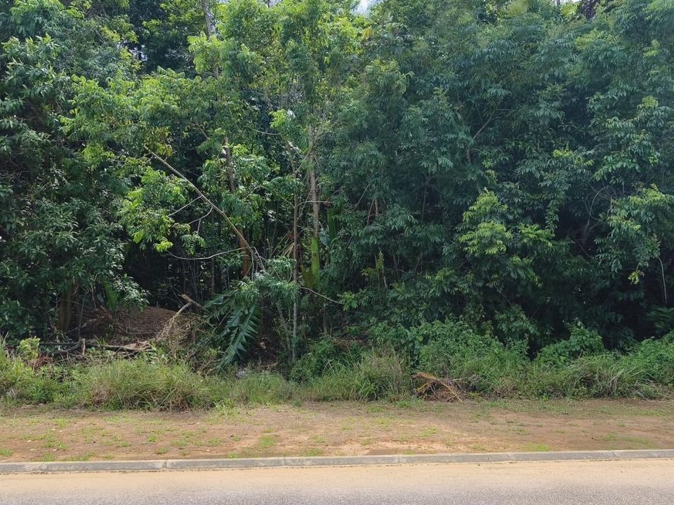 Tomt i Macouria, French Guiana - foto 2