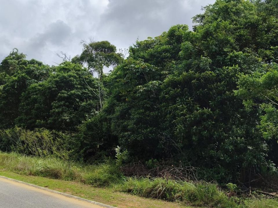 Tomt i Macouria, French Guiana - foto 3