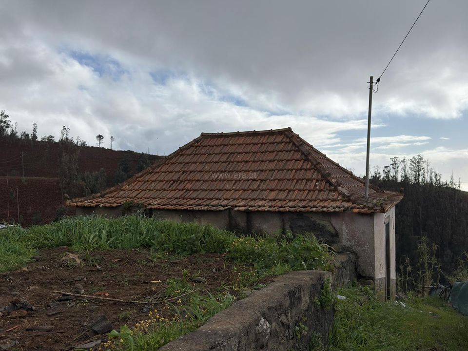 Stadthaus in Calheta, Madeira - Foto 2