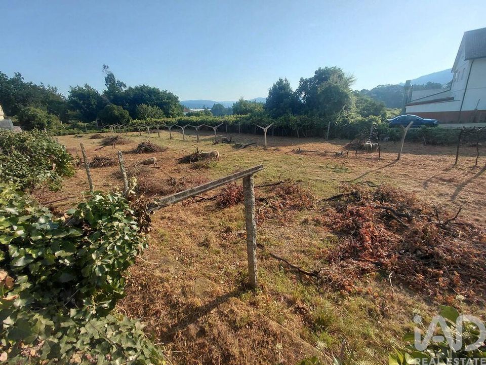 Tomt i Melgaco, Viana do Castelo - bilde 1