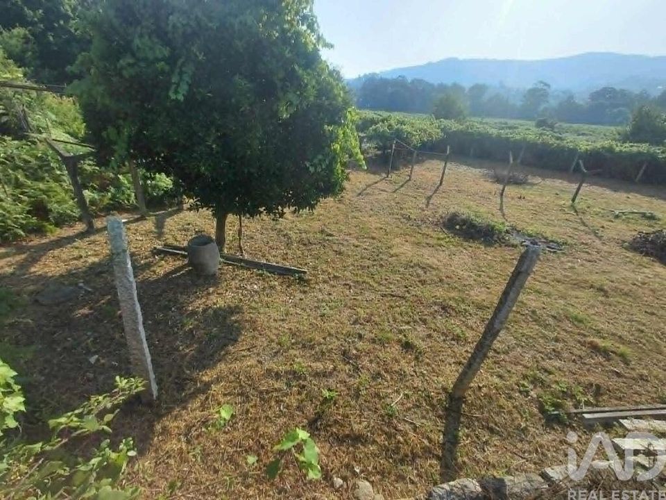 Tomt i Melgaco, Viana do Castelo - bilde 3