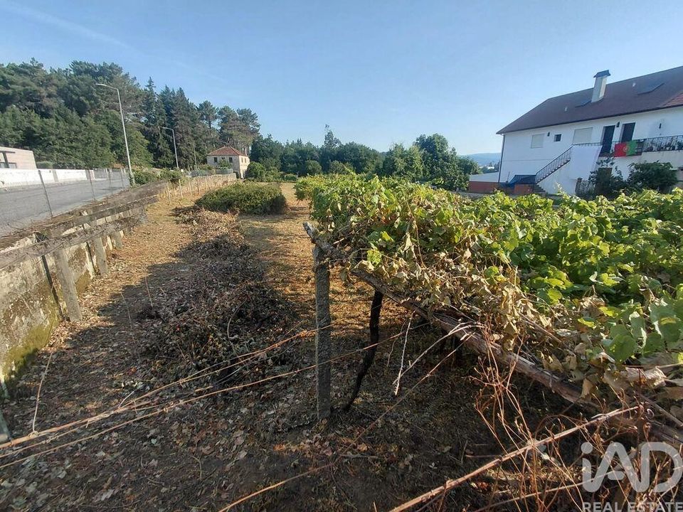 Tomt i Melgaco, Viana do Castelo - bilde 5