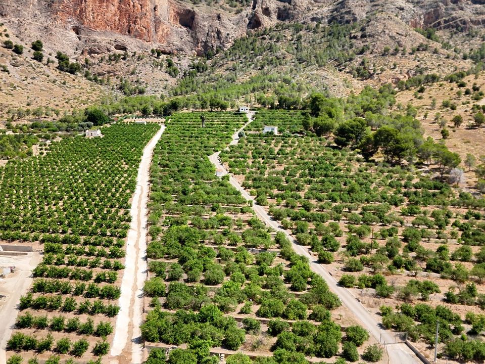 Landejendom i Orihuela, Alicante - foto 1