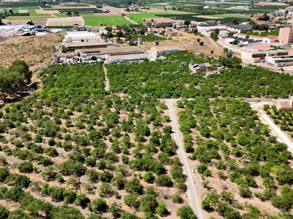 Landejendom i Orihuela, Alicante - foto 4