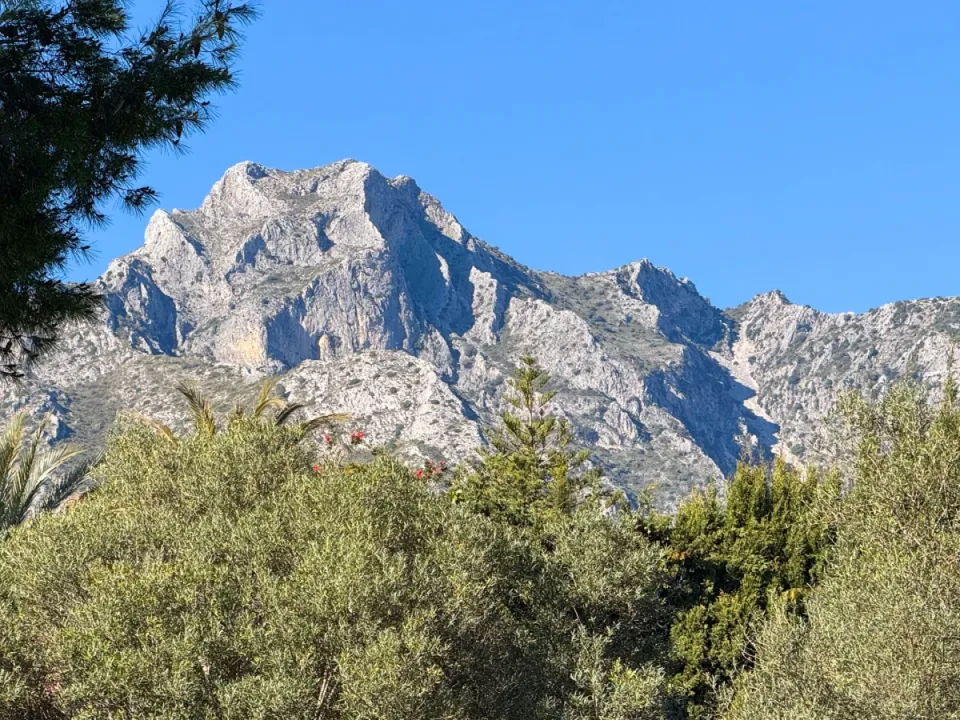 Helårsgrund i Marbella, Malaga - foto 3
