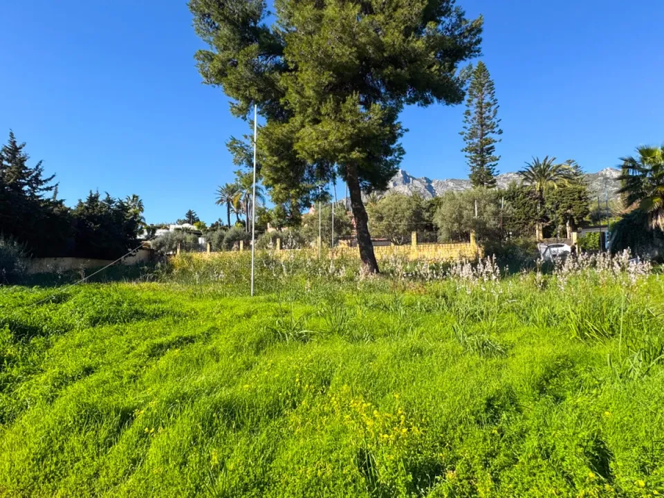 Helårsgrund i Marbella, Malaga - foto 4