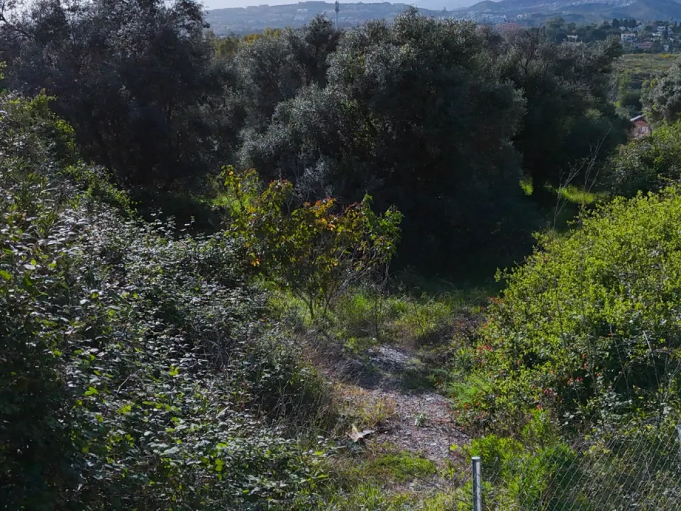 Helårsgrund i San Pedro de Alcantara, Malaga - foto 2