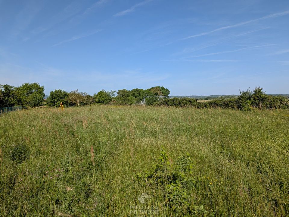 Terra em Palaminy, Haute-Garonne - foto 2