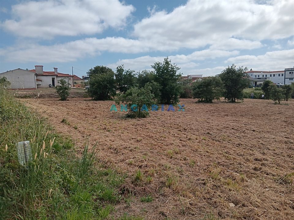 Helårsgrund i Batalha, Leiria - foto 1