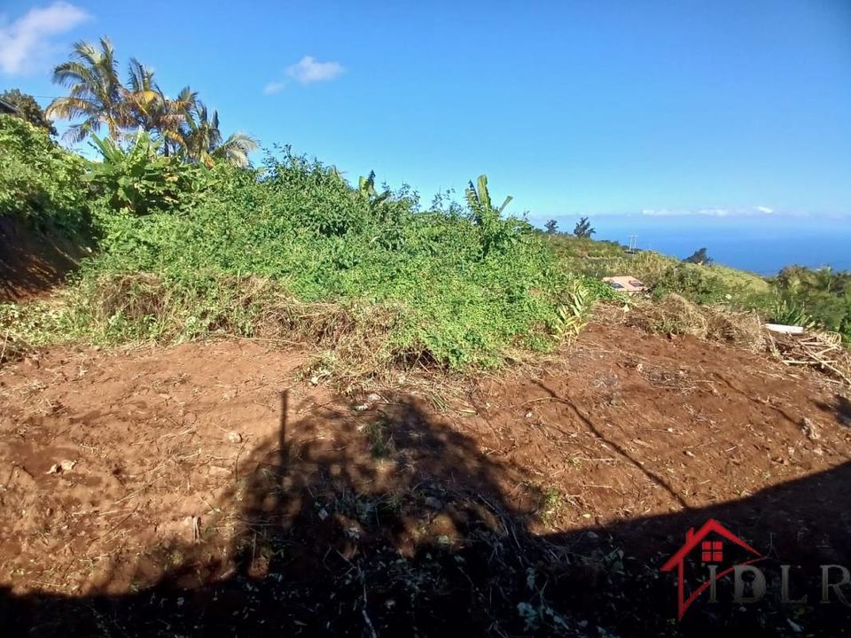 Terra a Petite-Ile, La Reunion - foto 5
