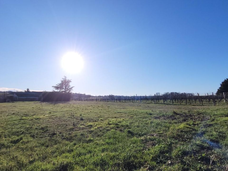 Tomt i Saint-Ciers-Du-Taillon, Charente-Maritime - foto 3